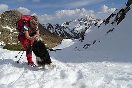 Rifugio Balicco (1995 m) e Bivacco Zamboni (2007 m) ad anello il 1 aprile 2019 - FOTOGALLERY